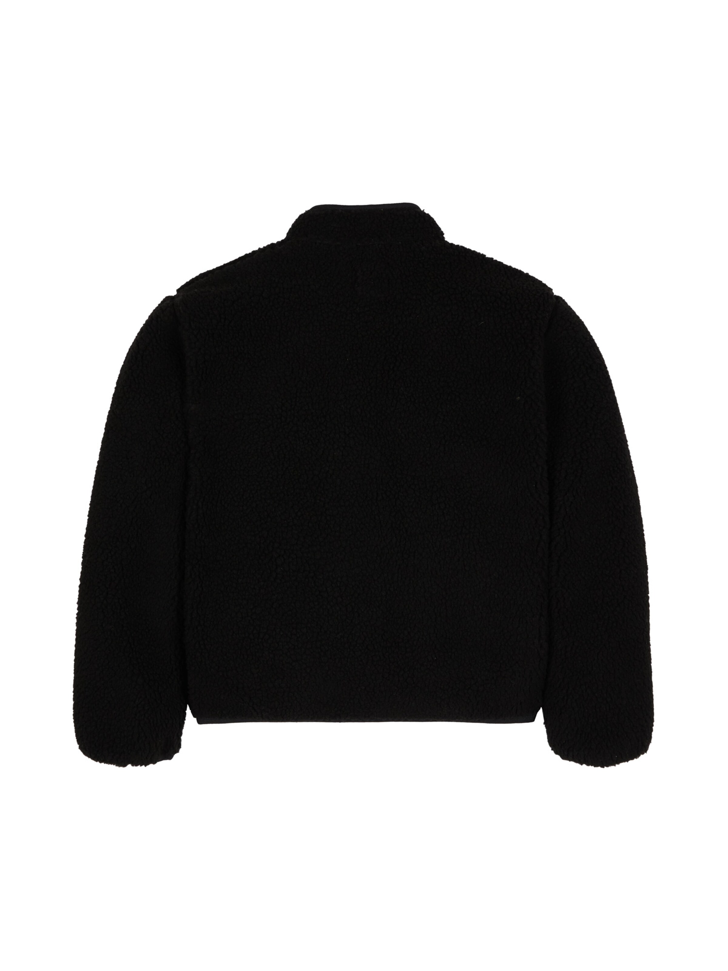 Giacca di pile 'MOUNT HOPE' di DICKIES in nero