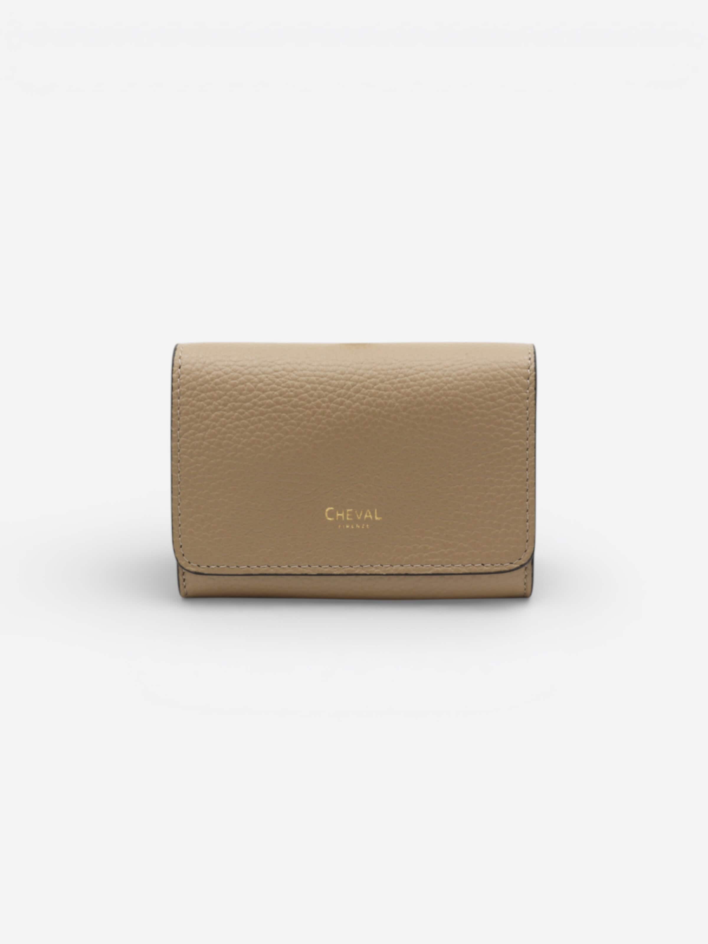 Cheval Firenze Wallet 'COSMO MINI' in Grey: front