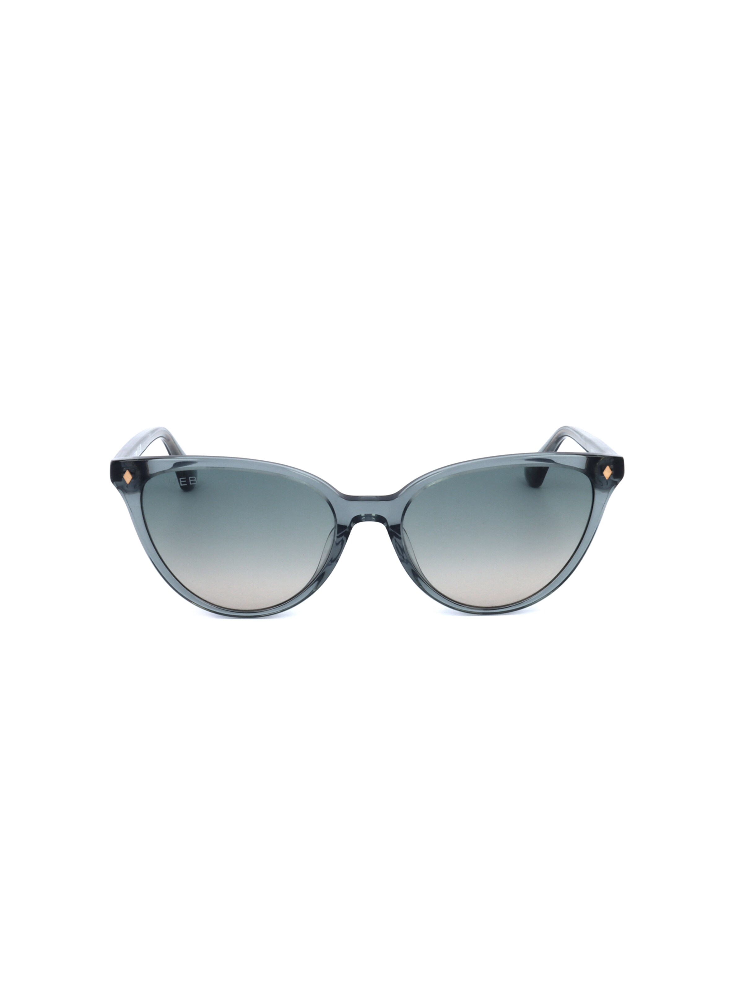 Occhiali da sole 'WE0329' di Web Eyewear in blu: frontale