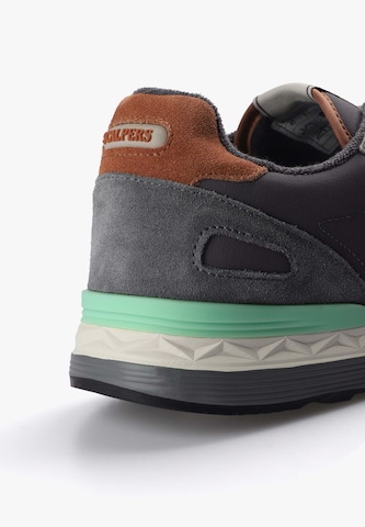 ScalpersNiske tenisice 'Harry' - plava boja