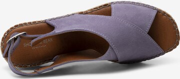 Sandales ' STB-ORCHID ' Shoe The Bear en violet
