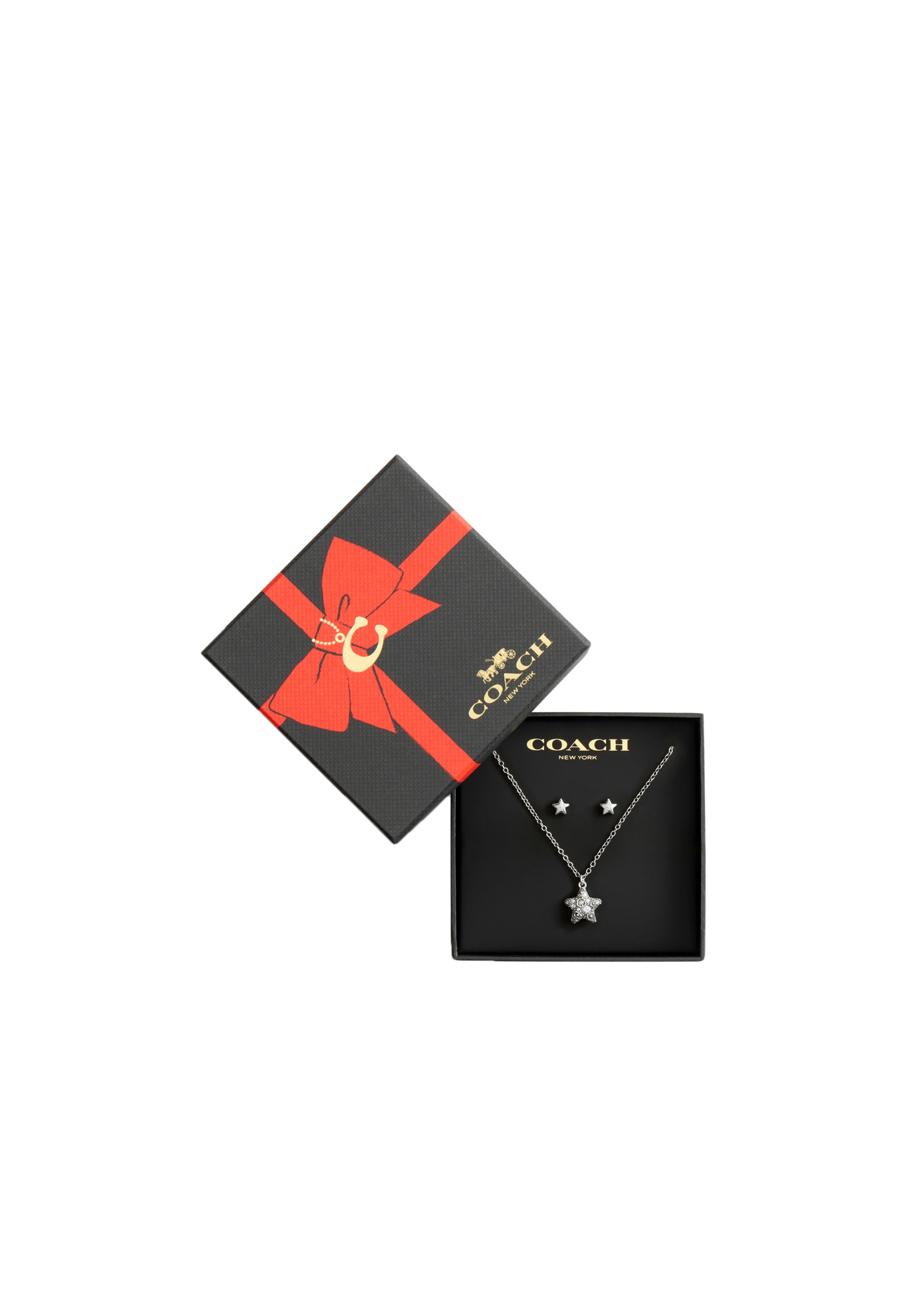 Parure de bijoux COACH en argent