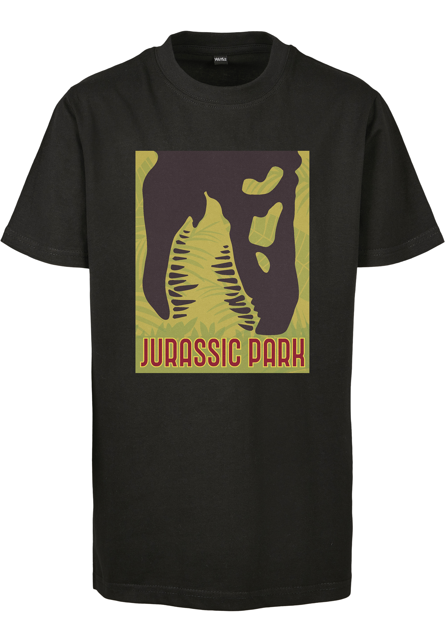 Bimba Ragazzo (taglie 140-176) Mister Tee T-Shirt Jurassic Park in Nero 