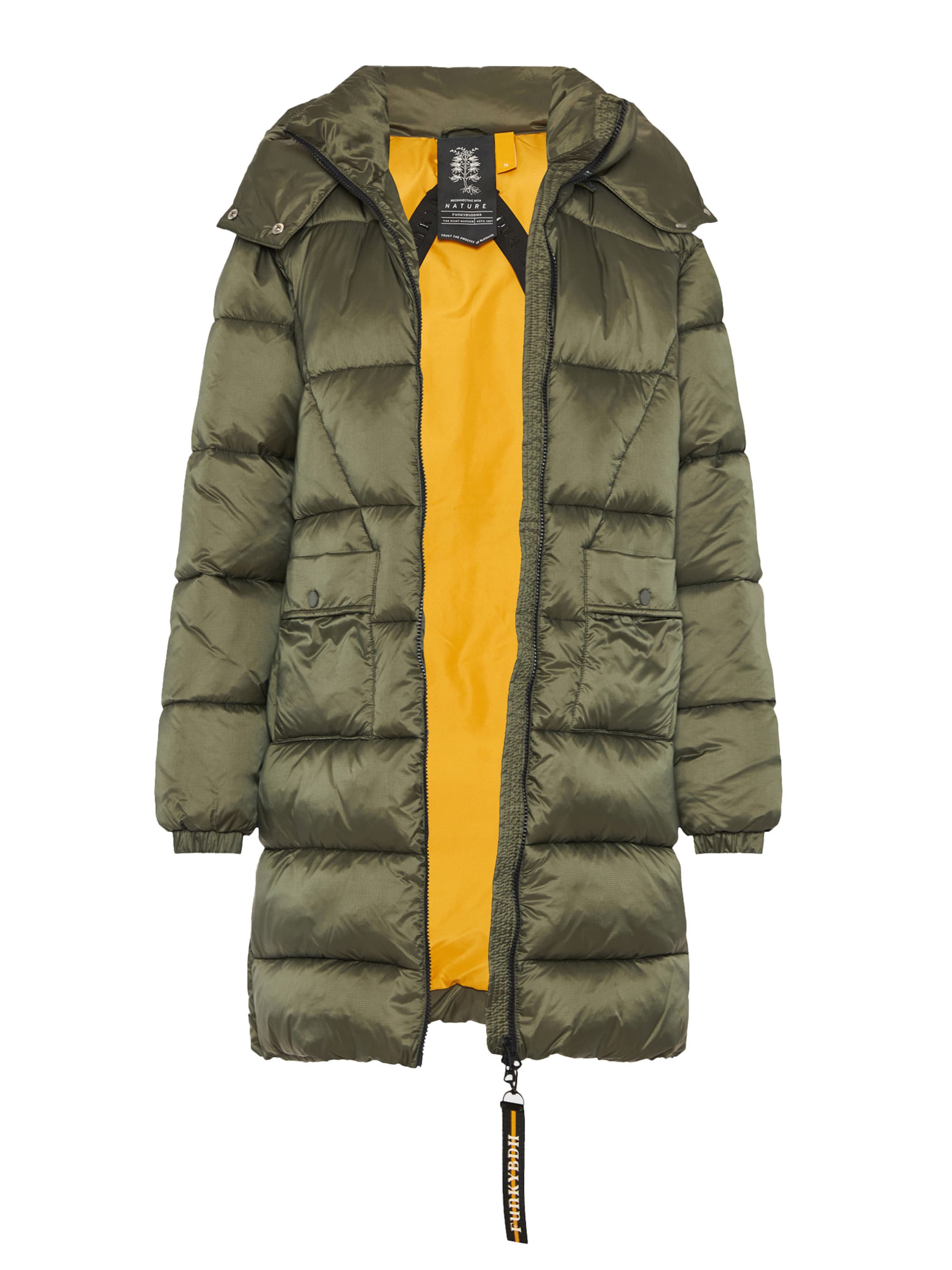 Funky Buddha Зимнее пальто в Зеленый