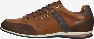 PANTOFOLA D'ORO Sneakers laag 'Roma' in Bruin