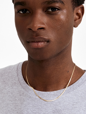 zelts Pilgrim Ķēdīte 'Nikita'