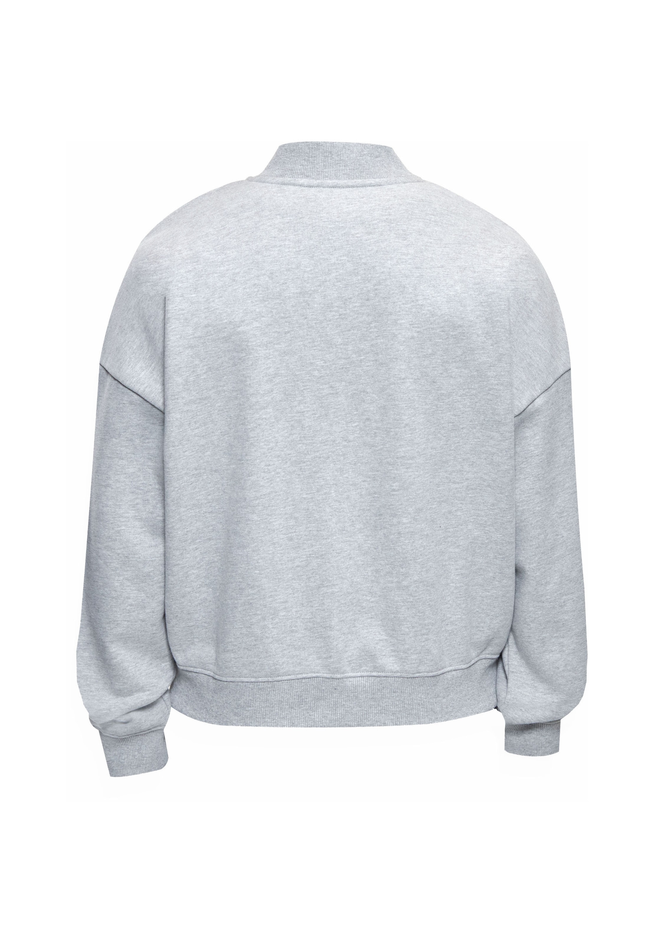 Giacca di felpa di Dropsize in grigio