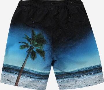 Molo Badeshorts 'Neal' in Blau