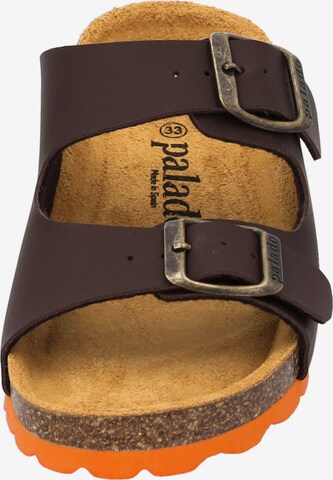 Palado Sandals & Slippers in Brown