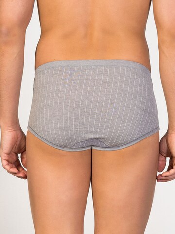 Slip 'Senior Prinstriped Fly Front Brief' zd ZERO DEFECTS en gris
