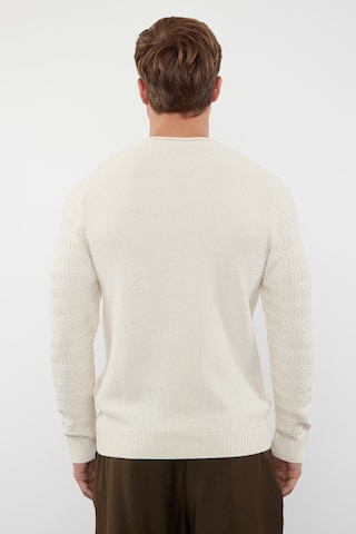 Trendyol Sweater in Beige