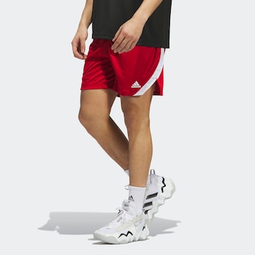 ADIDAS SPORTSWEAR Regular Sportshorts 'Icon Squad' in Rot: Vorderseite