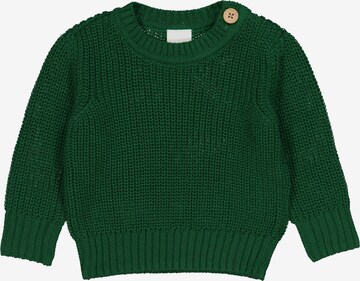 Pullover di Fred's World by GREEN COTTON in verde: frontale