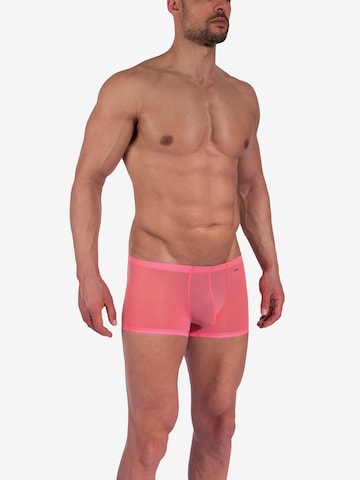 Olaf Benz Boxershorts ' RED0965 Minipants ' in Roze: voorkant