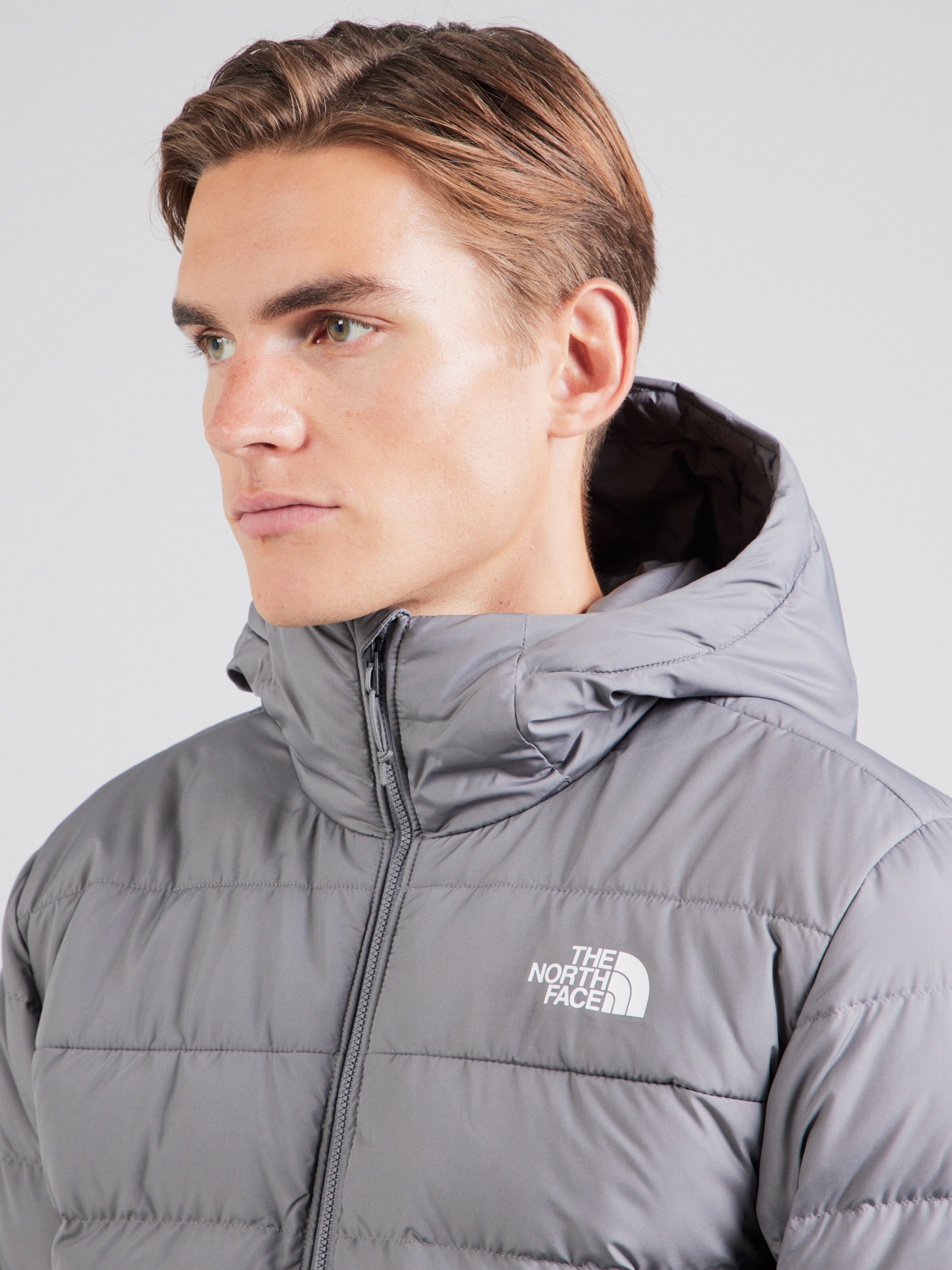Veste outdoor ACONCAGUA 3 THE NORTH FACE en Gris ABOUT YOU