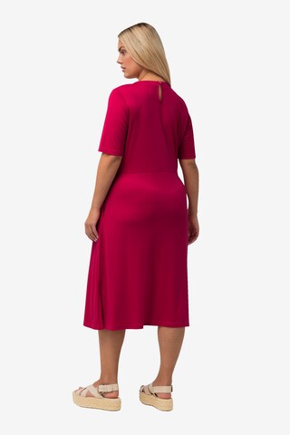 Ulla Popken Kleid in Pink