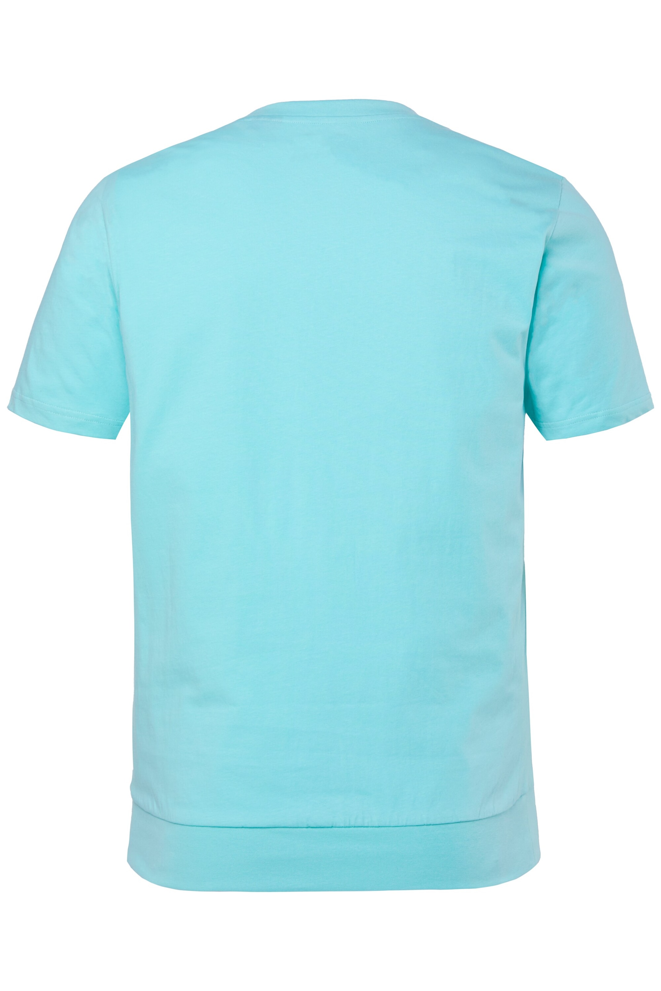 Men Plus T-Shirt in Blau