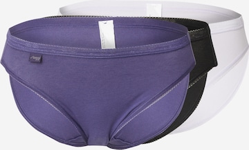 mėlyna SLOGGI Moteriškos kelnaitės: priekis