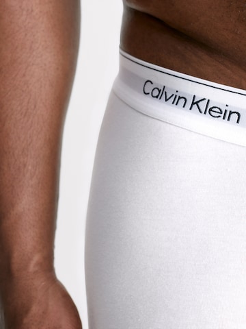 Calvin Klein Underwear Plus - Calzoncillo boxer en gris