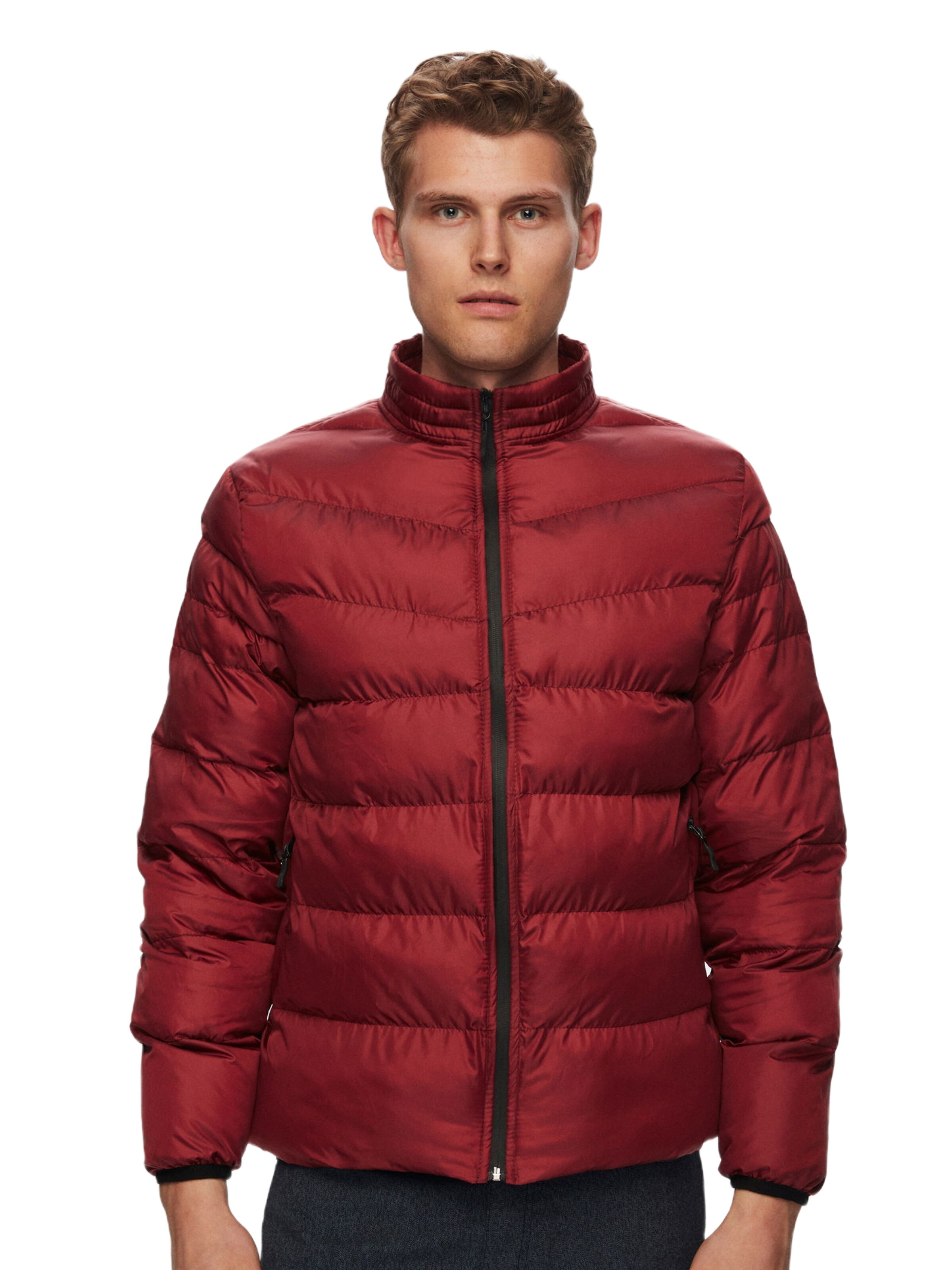 D’S Damat Jacke in Rot: Vorderseite