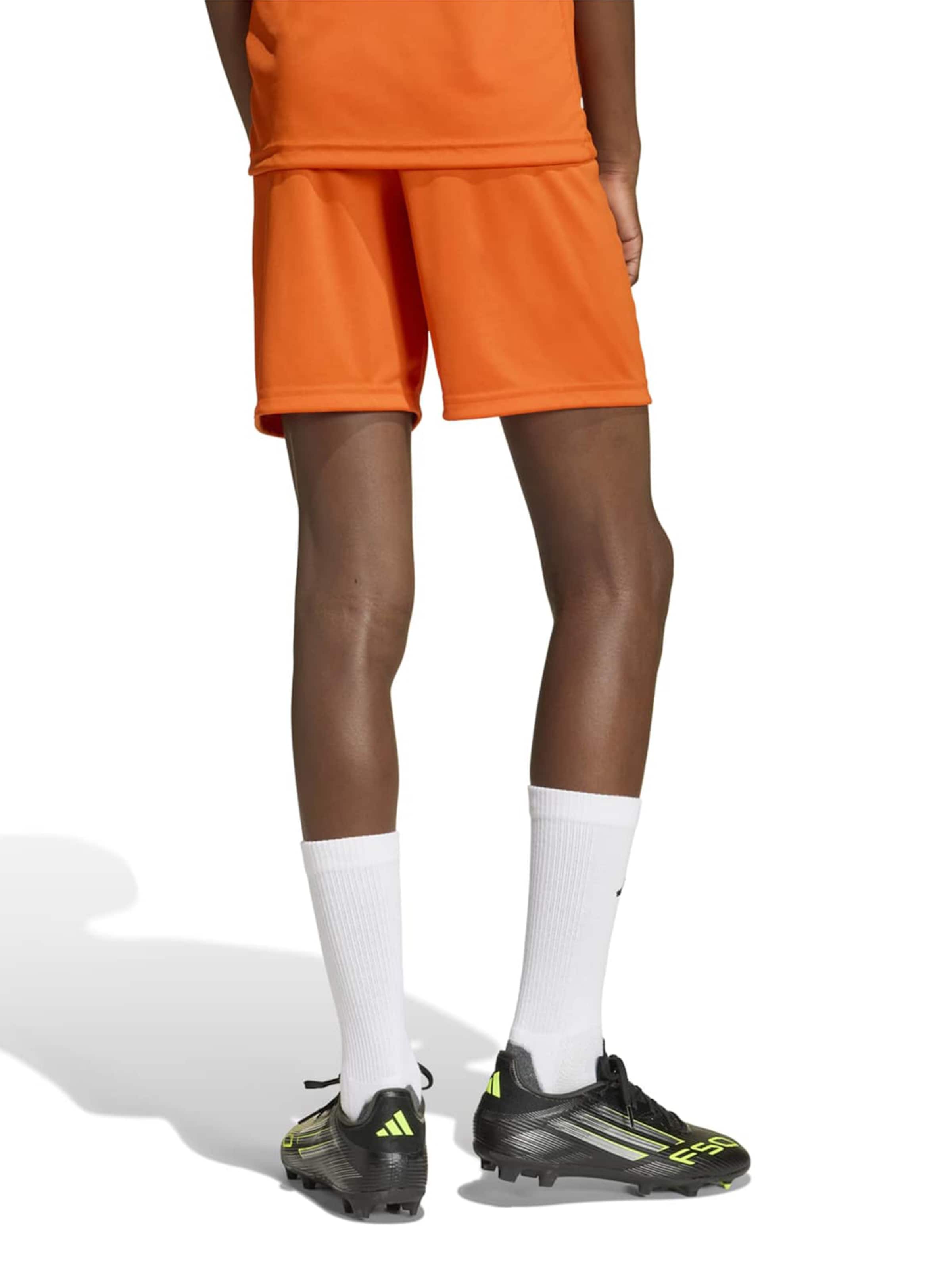 ADIDAS PERFORMANCE regular Παντελόνι φόρμας 'ENT26' σε πορτοκαλί