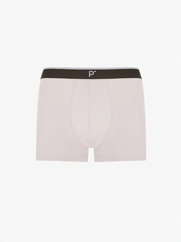 Penti Boxershorts 'PENTI Herren Tone Boxershorts mit Streifen'‌ in Mischfarben