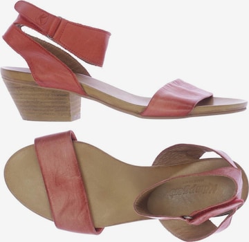 Kämpgen Sandals & High-Heeled Sandals in 38 in Red: front