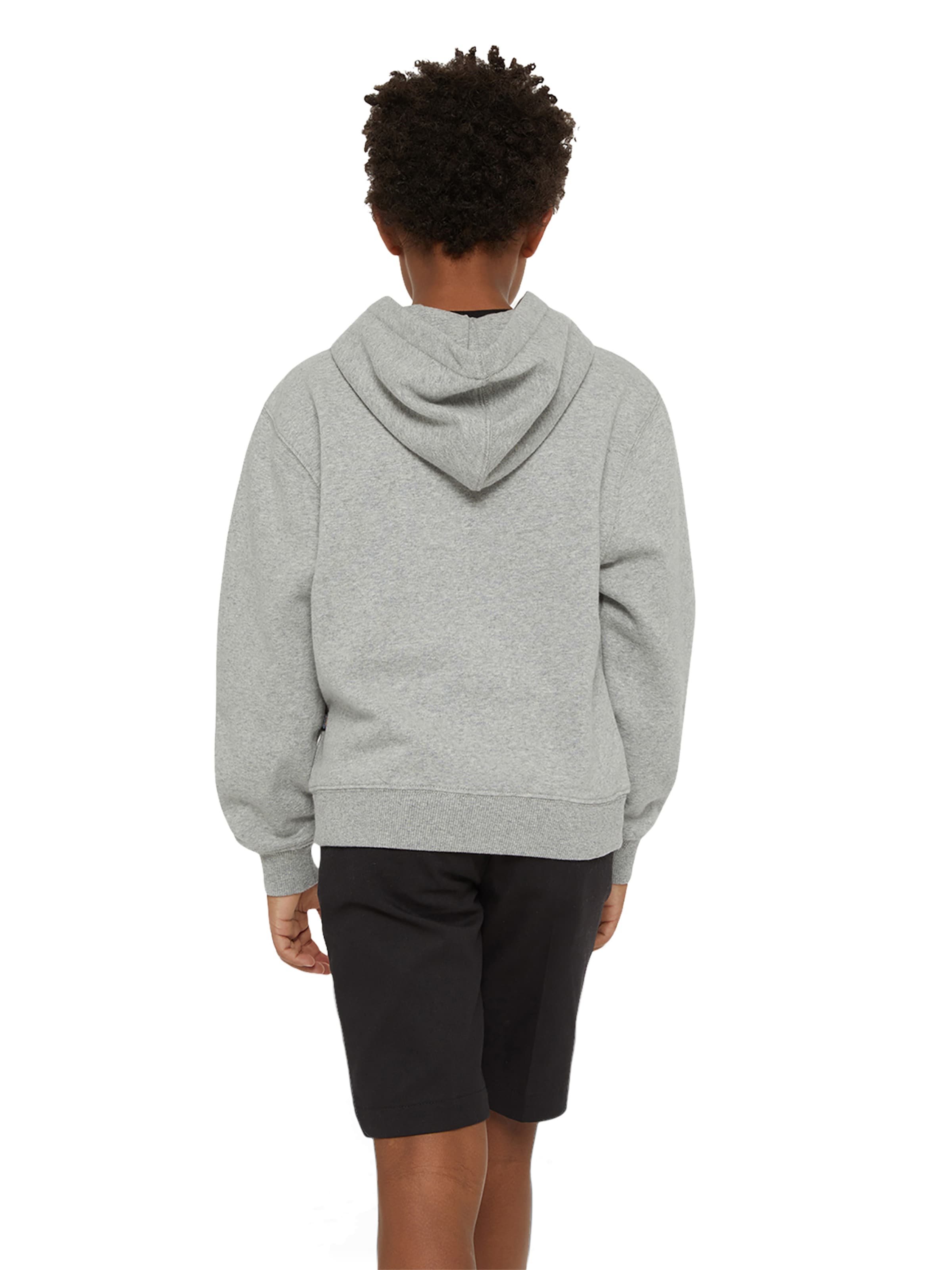 DICKIES - Sudadera 'Youth Oakport' en gris