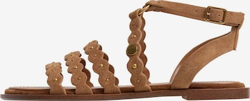 Sandalo di Pepe Jeans in marrone: frontale