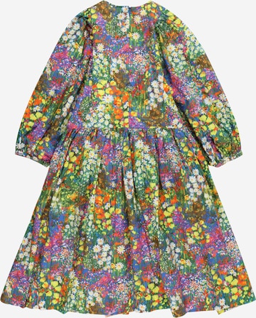 Robe 'Caio' Molo en mélange de couleurs