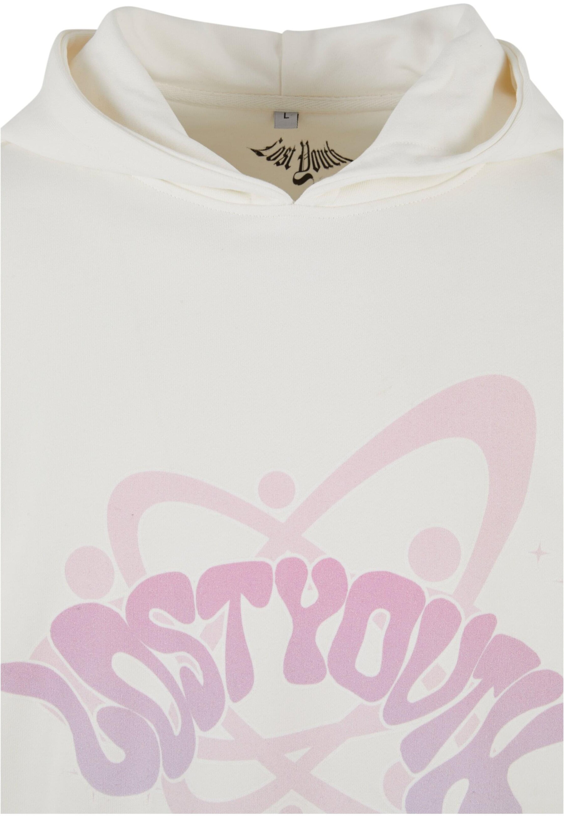 Lost Youth Sweatshirt in Wit