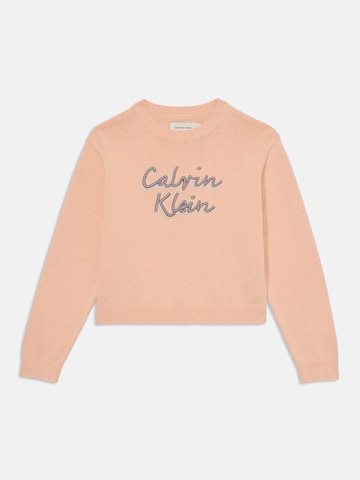 Calvin Klein Pullover 'LOGO METALLIC INTERSIA' in Orange: Vorderseite