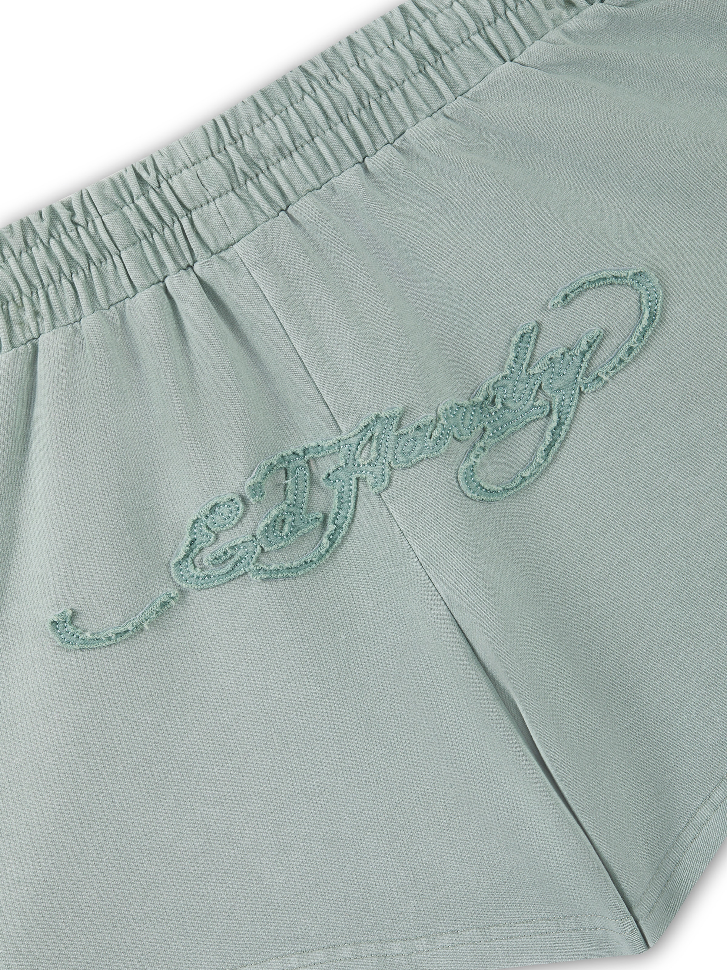 Ed Hardy - regular Pantalón en verde