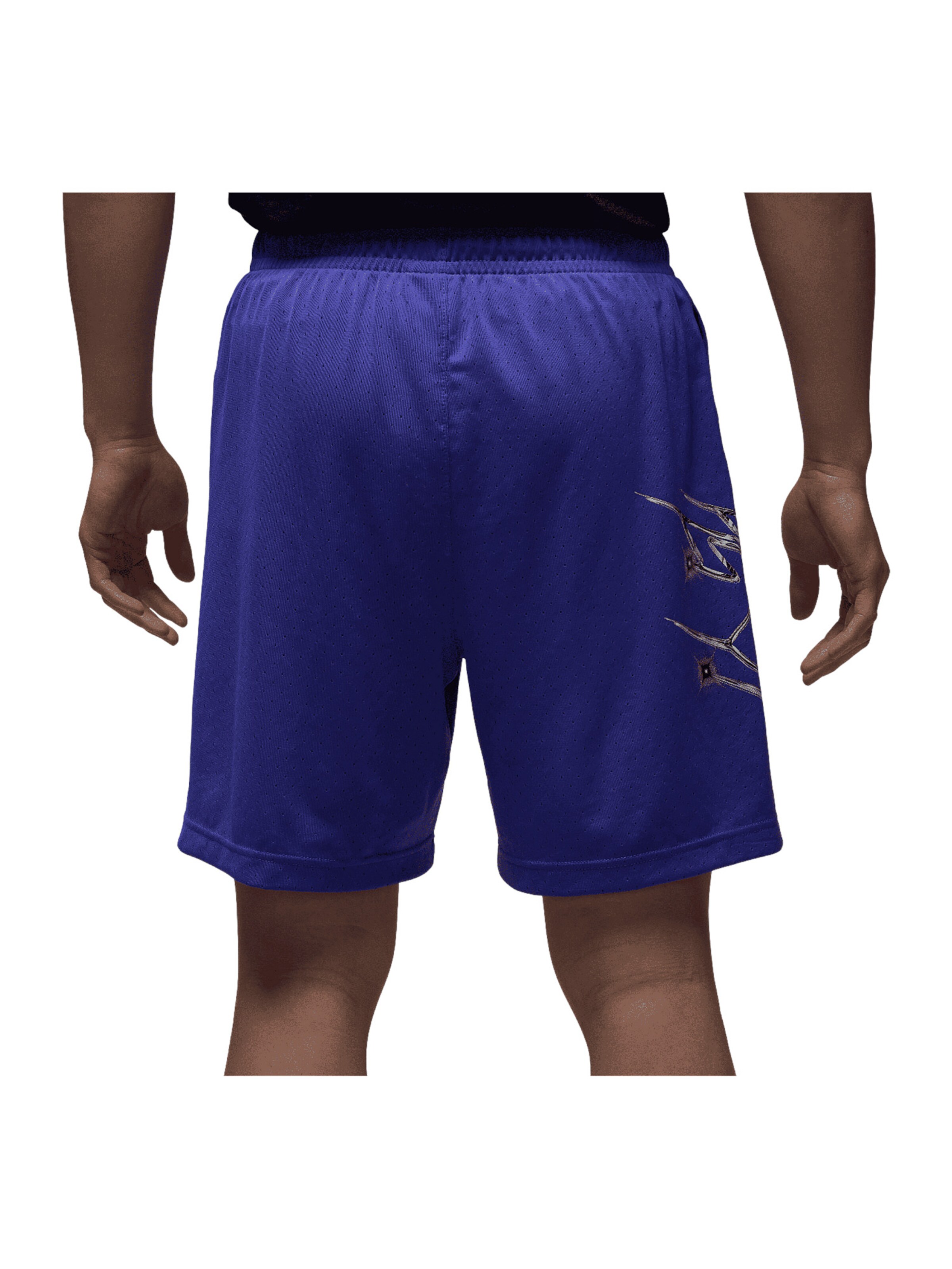 Jordan Regular Shorts in Lila