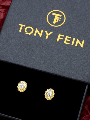 Tony Fein Earrings 'Oval' in Gold