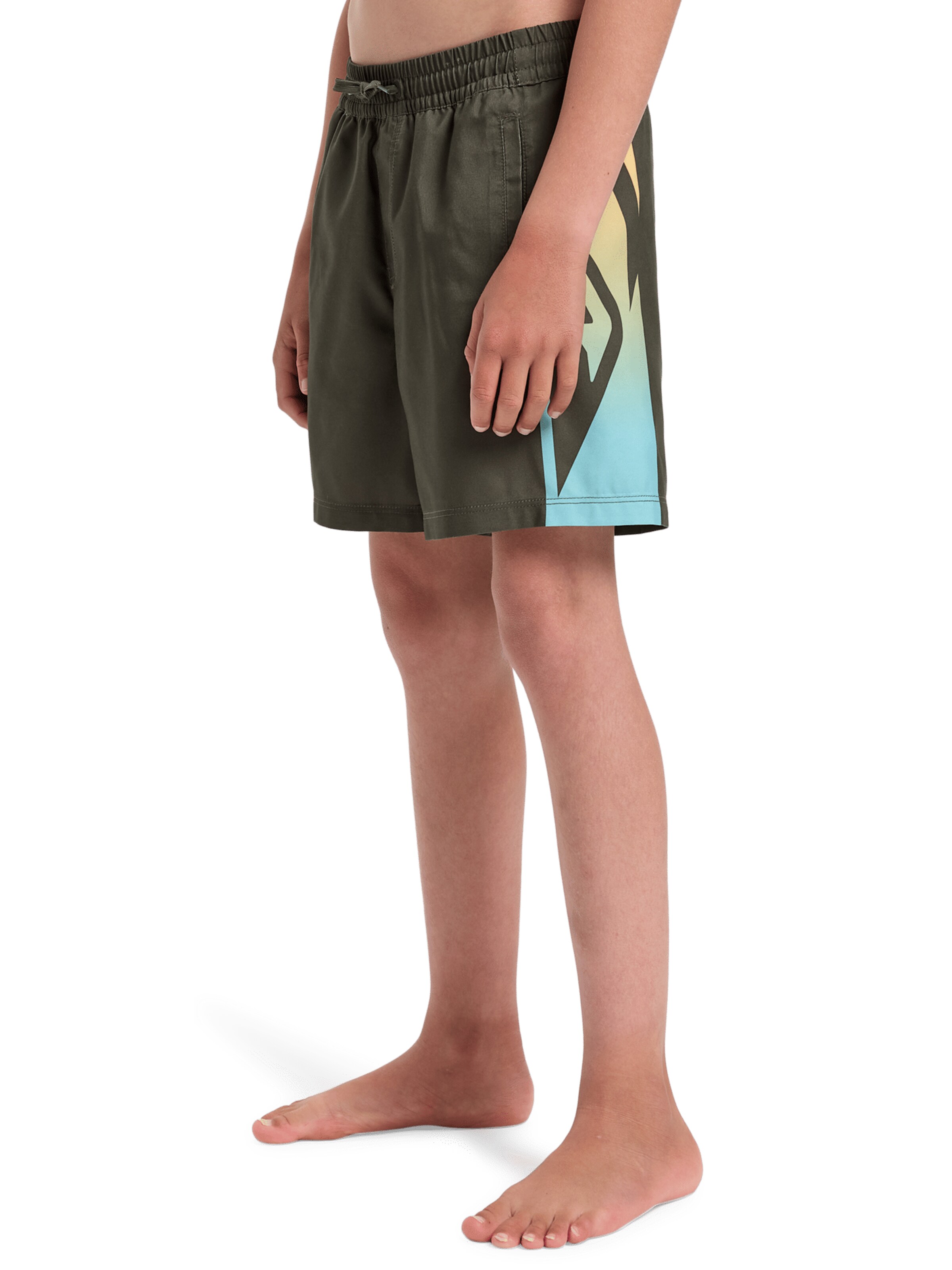 QUIKSILVER Sportieve badmode 'Everyday Holmes 14' in Groen