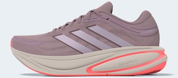 ADIDAS PERFORMANCE Laufschuh in Lila