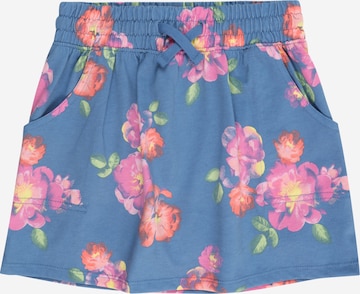 OshKosh Skirt in Blue: front