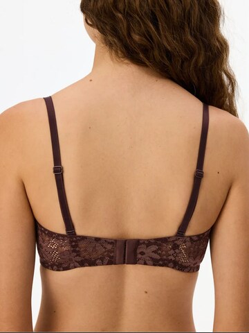 Bandeau Soutien-gorge 'BHs & Bralettes' Penti en rouge