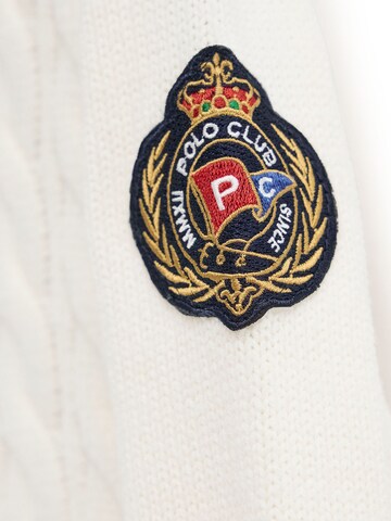 Polo Club Pullover in Braun