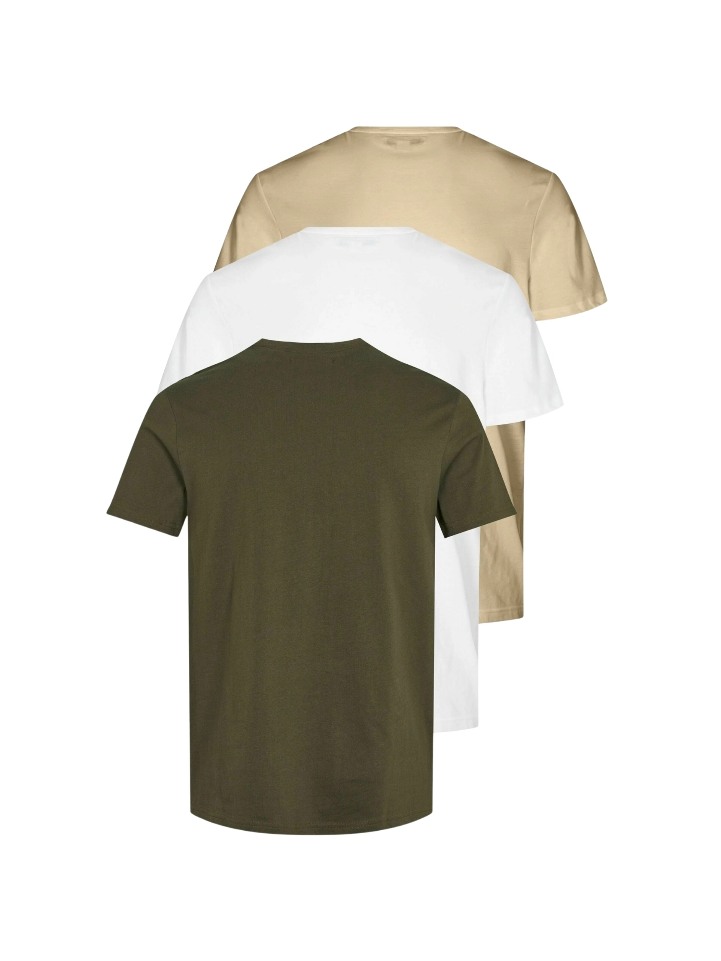 U.S. POLO ASSN. Regular fit Overhemd ' Arjun 3-pack ' in Groen