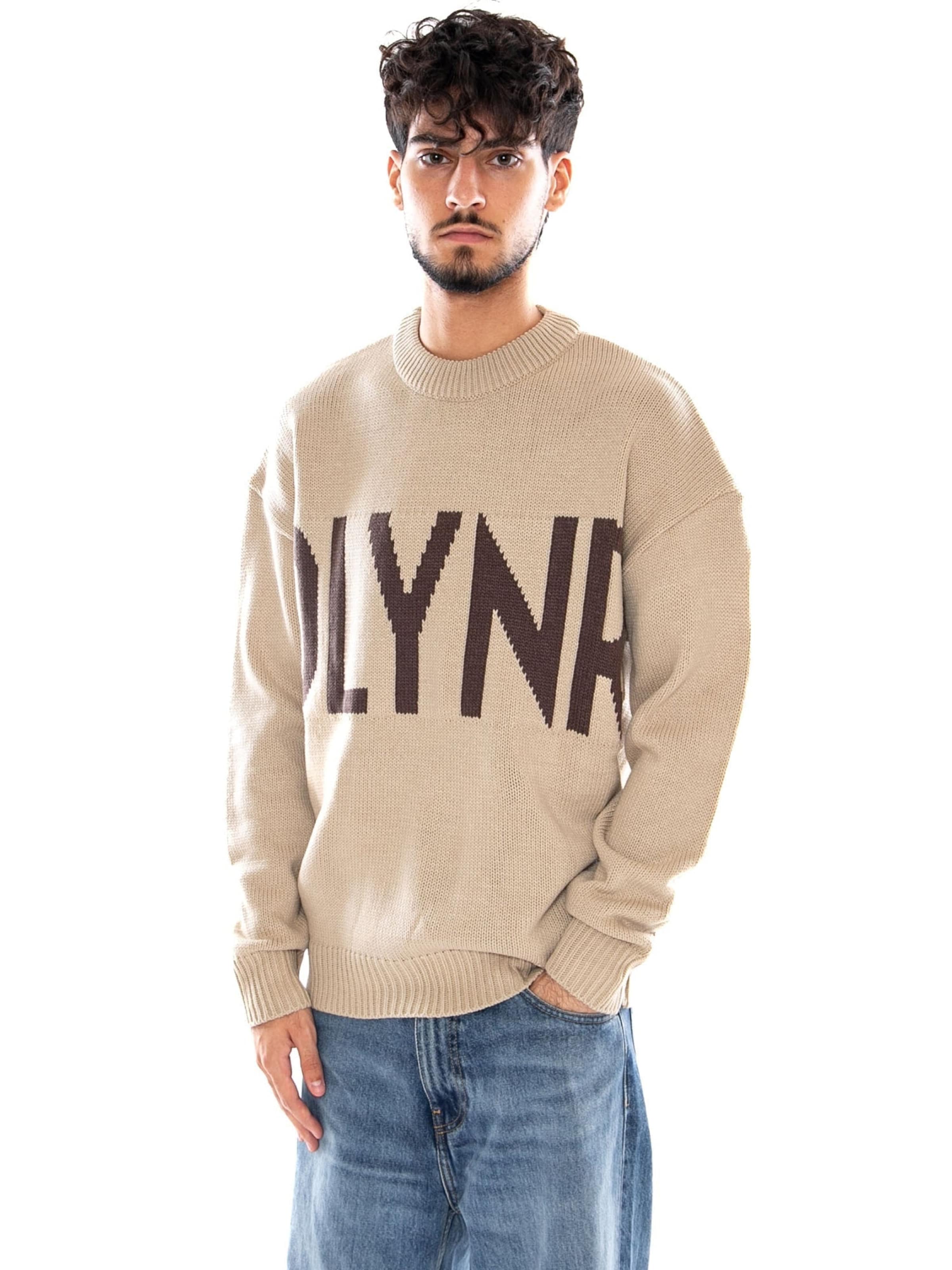 Pullover 'DLYNR SWEATER BLACK' di DOLLY NOIRE in beige: frontale