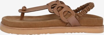 Crickit T-Bar Sandals in Brown