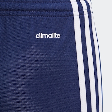 ADIDAS PERFORMANCE Regular Sportbroek 'Squad 17' in Blauw