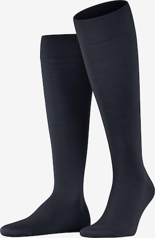 FALKE Knee High Socks 'ClimaWool' in Blue: front