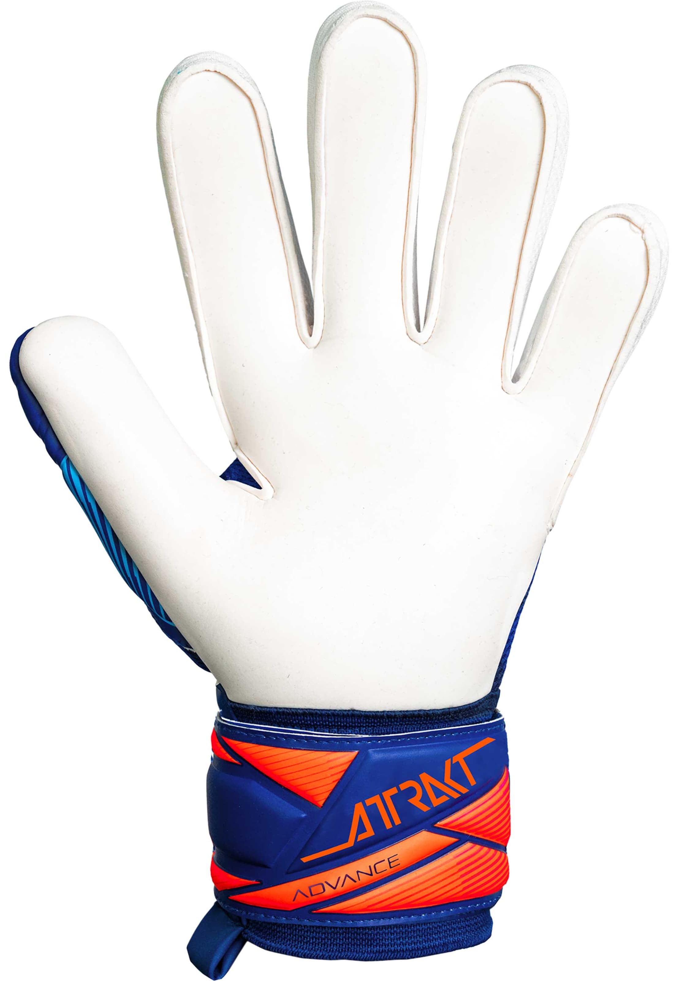REUSCH Torwarthandschuhe 'Attrakt Advance' in Blau