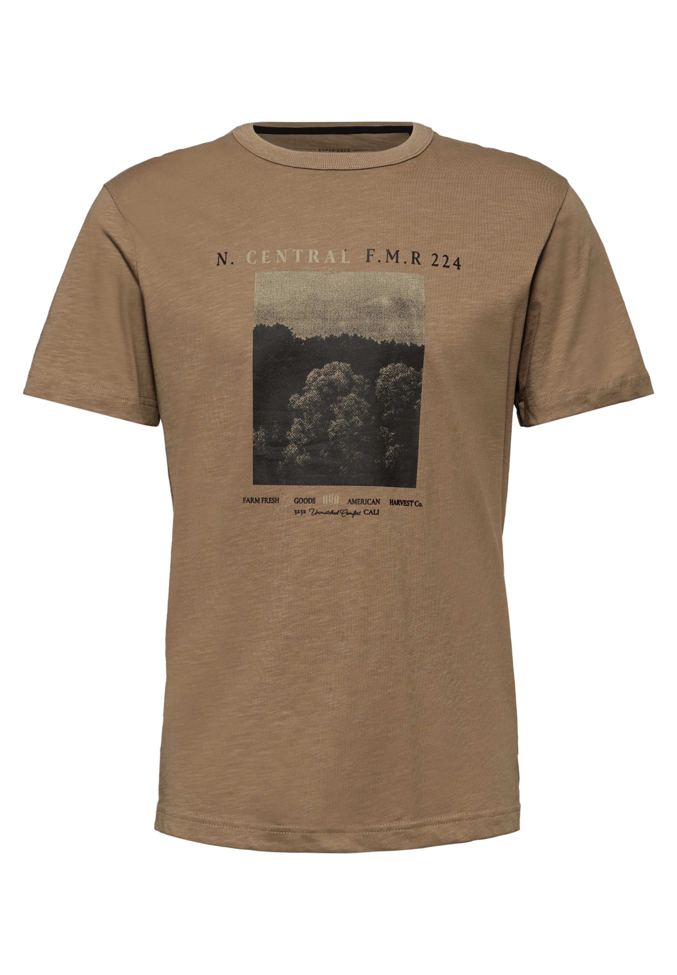 Street One MEN Shirt in Brown: front