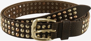 VANZETTI Gürtel One Size in Mischfarben: Vorderseite