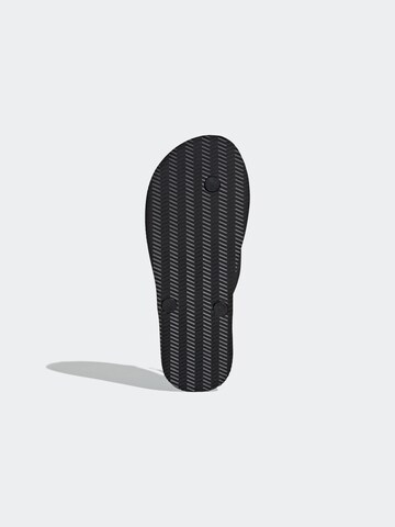 ADIDAS SPORTSWEAR Босоножки через палец 'Keitaki Alpha' в Черный
