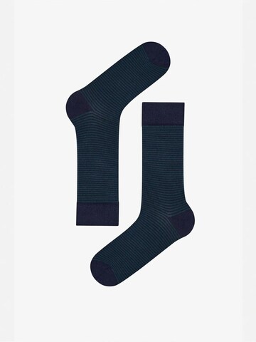 Penti Nogavice 'PENTI Pinestripe Baumwollsocken im 2er-Pack' | modra barva